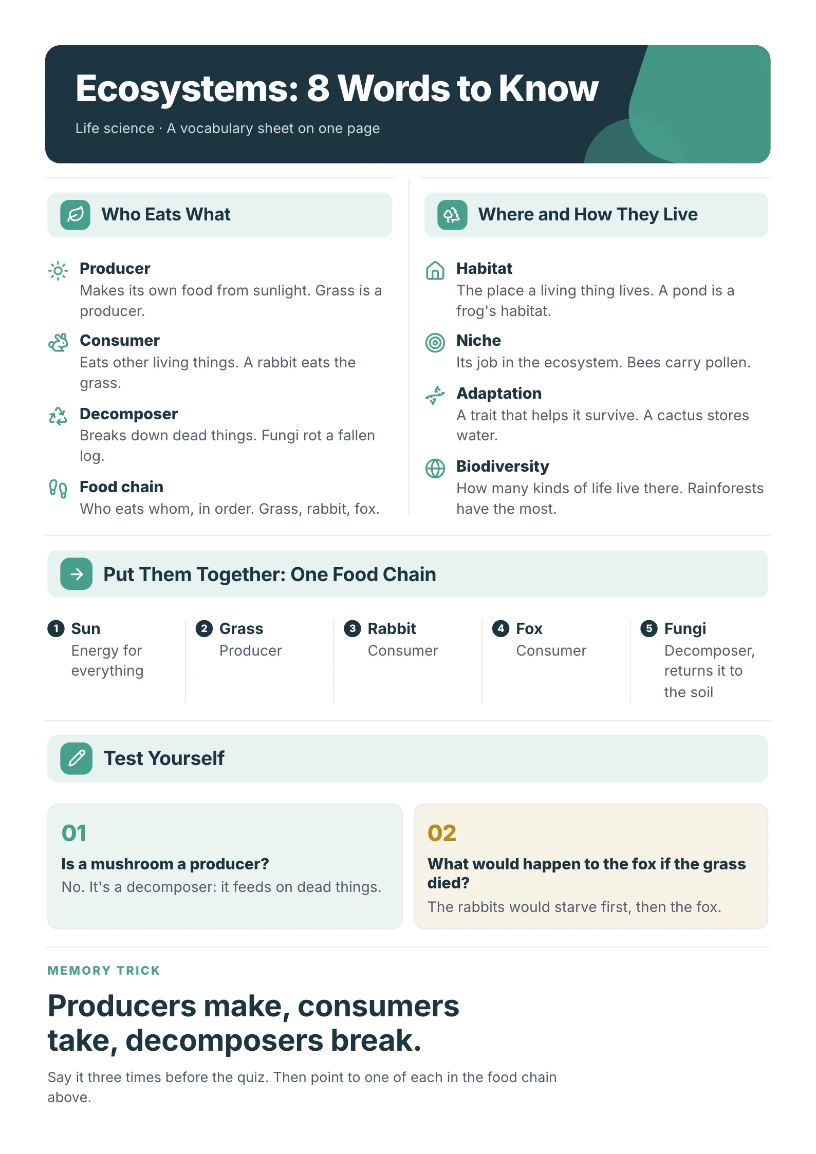 Vocabulary Sheet One-Pager example