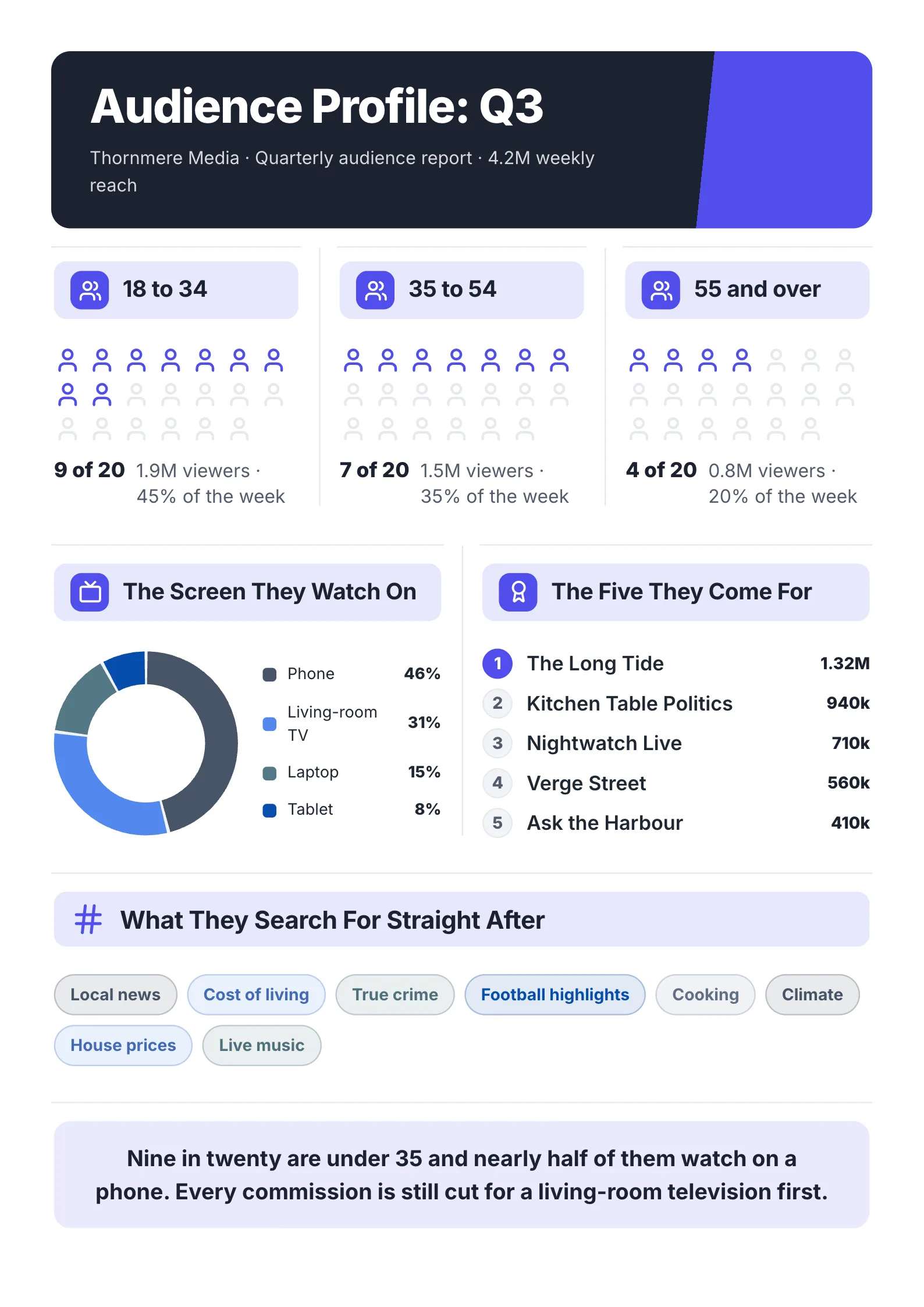 Audience profile One-Pager example with picture charts by age group, the screens they watch on, top shows and searches