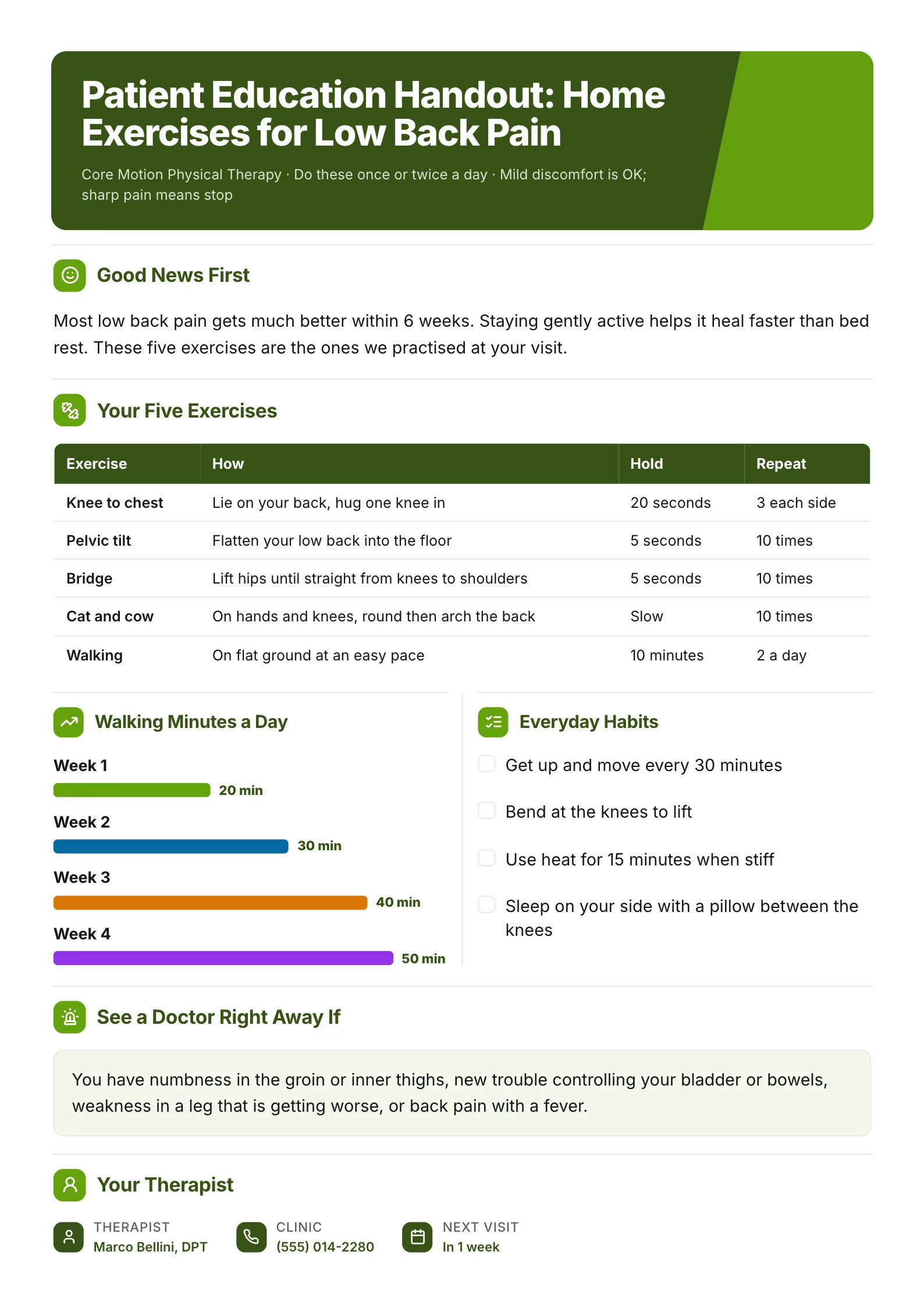 Low back pain patient education handout One-Pager with an exercise table, a walking plan and daily habits