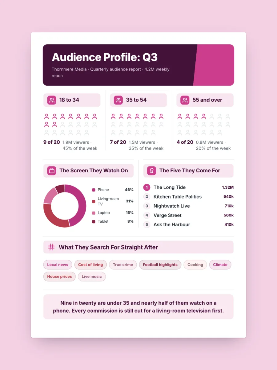 Audience Profile One-Pager, one of our free media and telecom one-pager templates, ready to edit