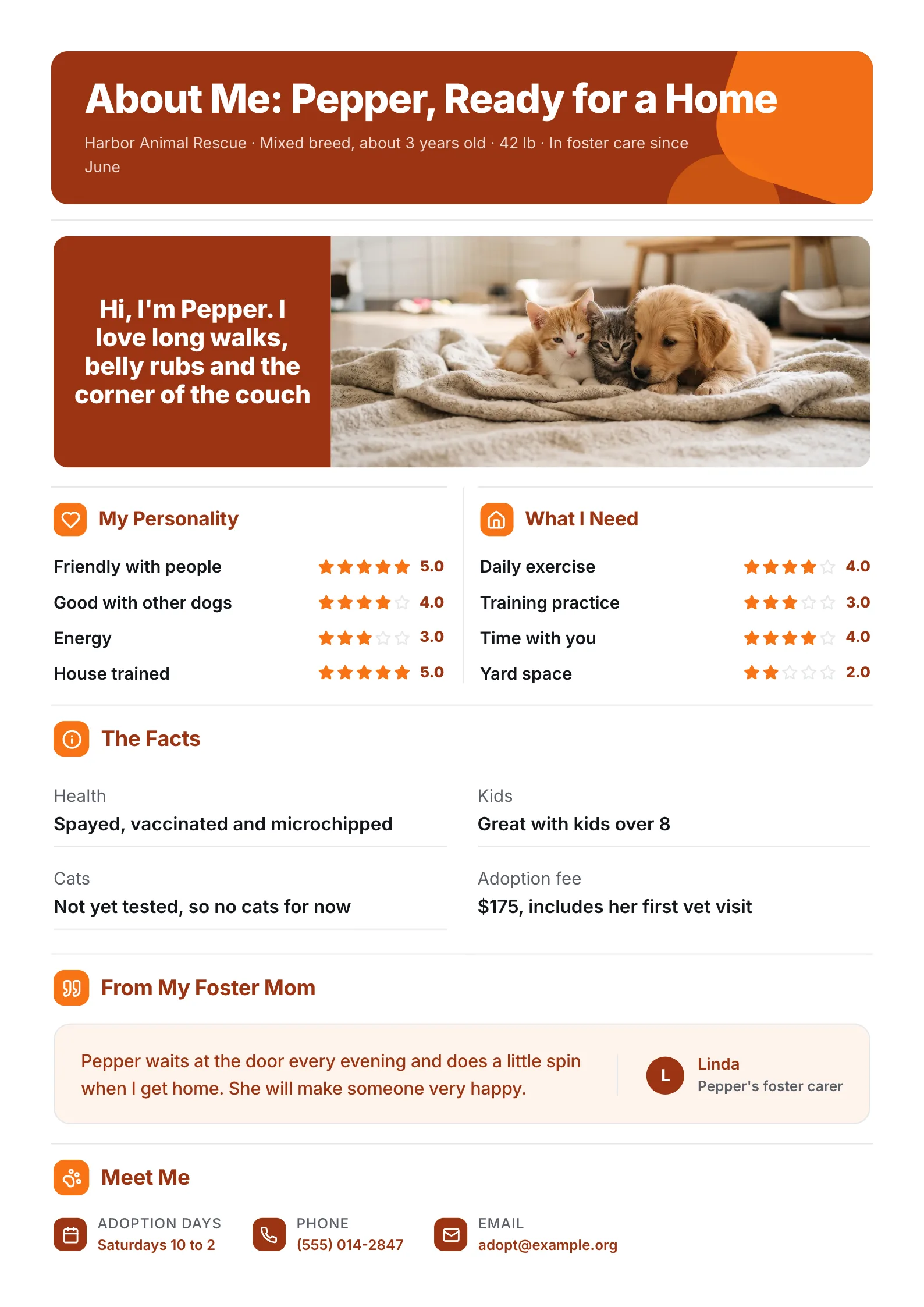 Rescue dog about me One-Pager with an adoption photo, personality ratings, health facts and a foster quote