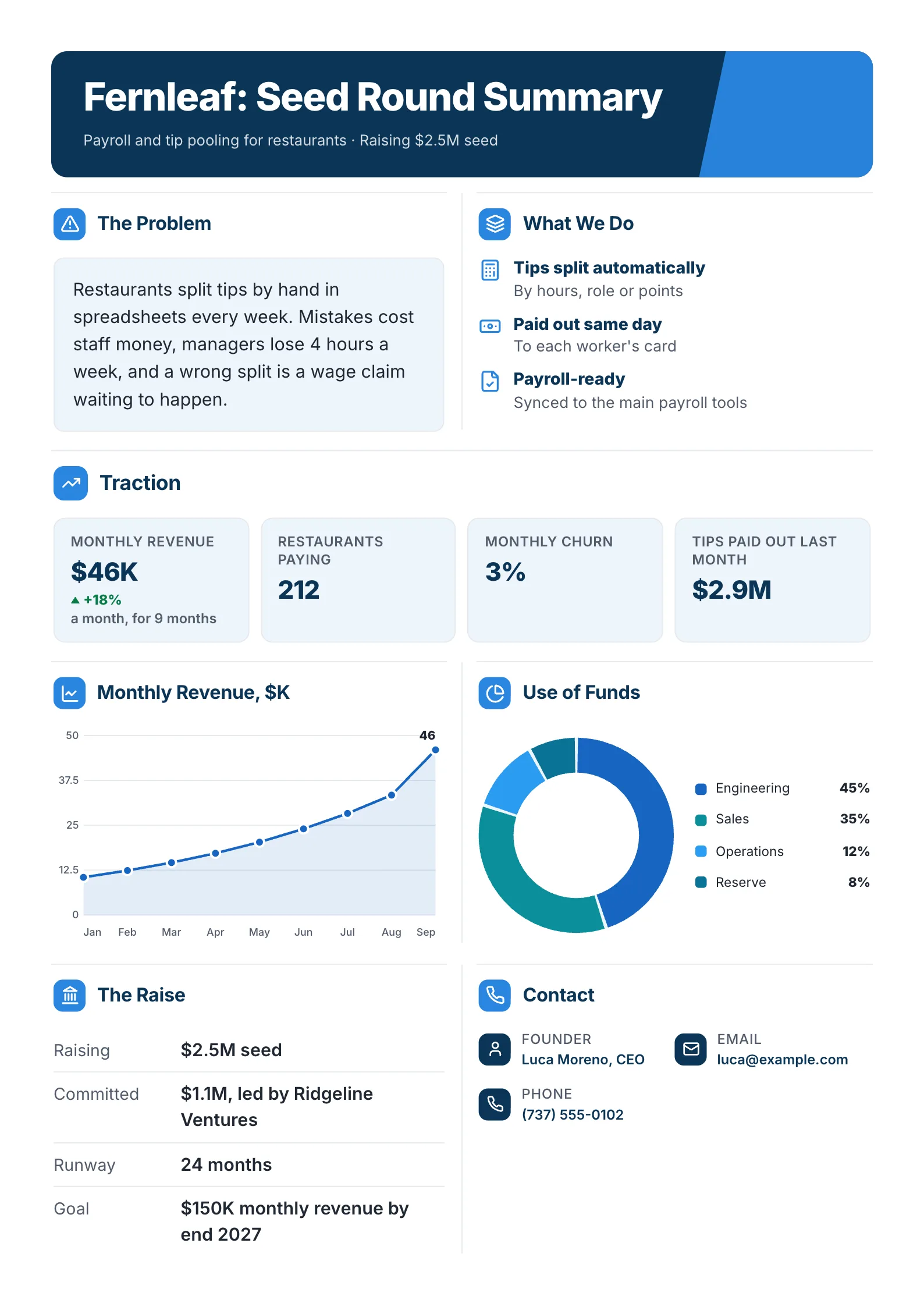 Seed round investor One-Pager template with the problem, the product, traction, monthly revenue chart, use of funds and the terms of the raise