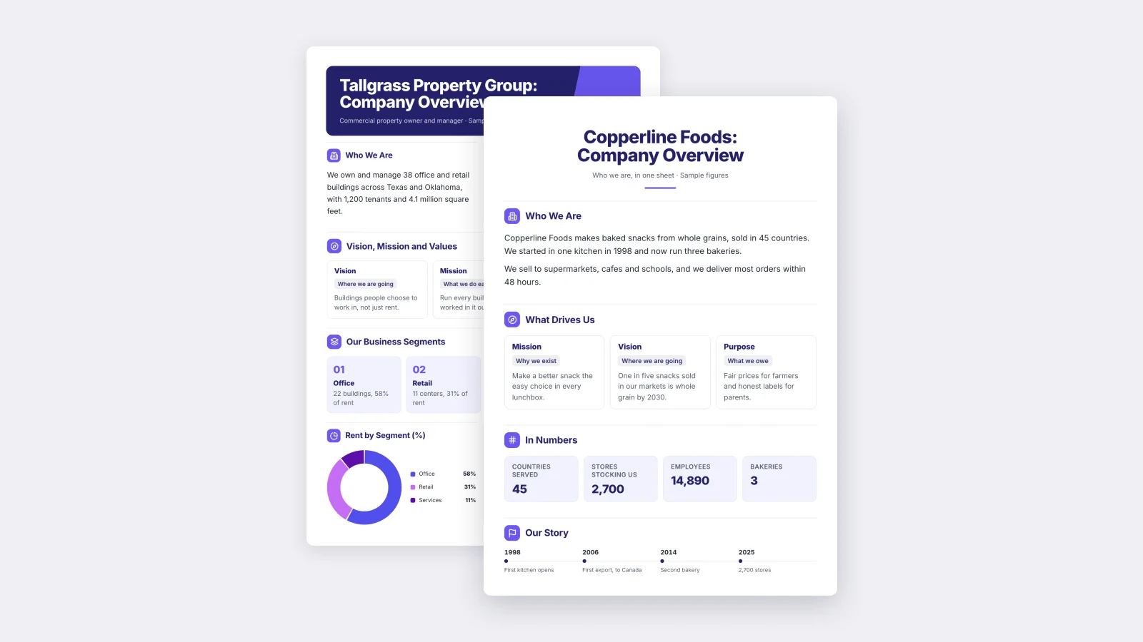 Two One-Pagers made with MakeOnepagers: the Company Overview in front of the Company Overview with Vision and Mission