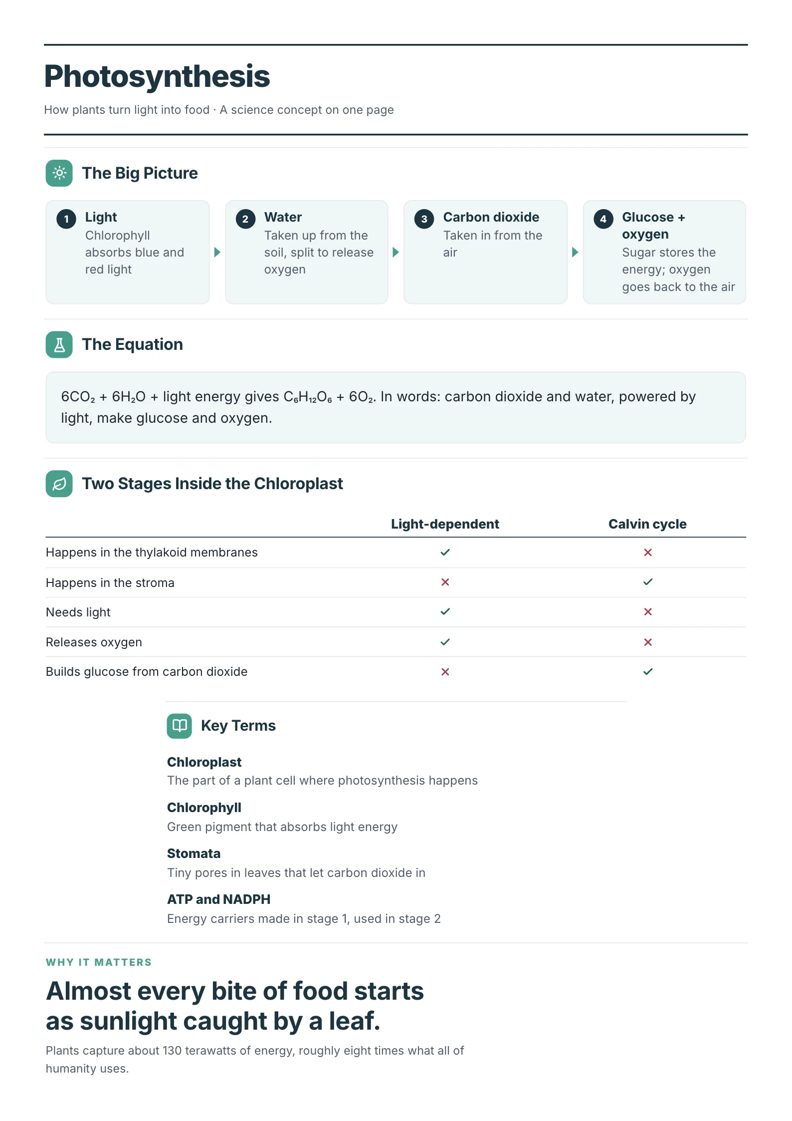 Science Concept One-Pager example
