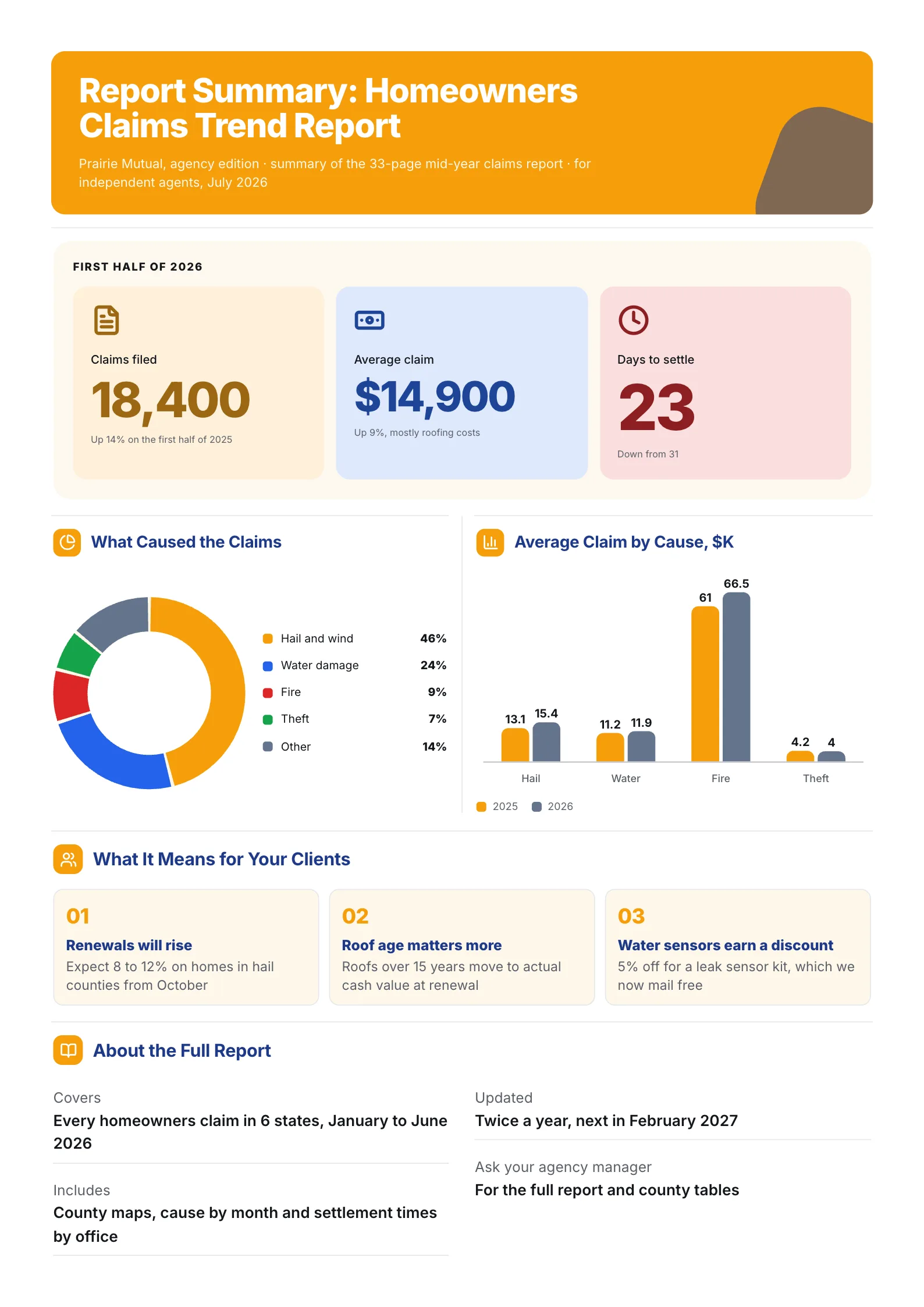 Insurance claims report summary One-Pager with claims by cause pie, average claim bars and client impact
