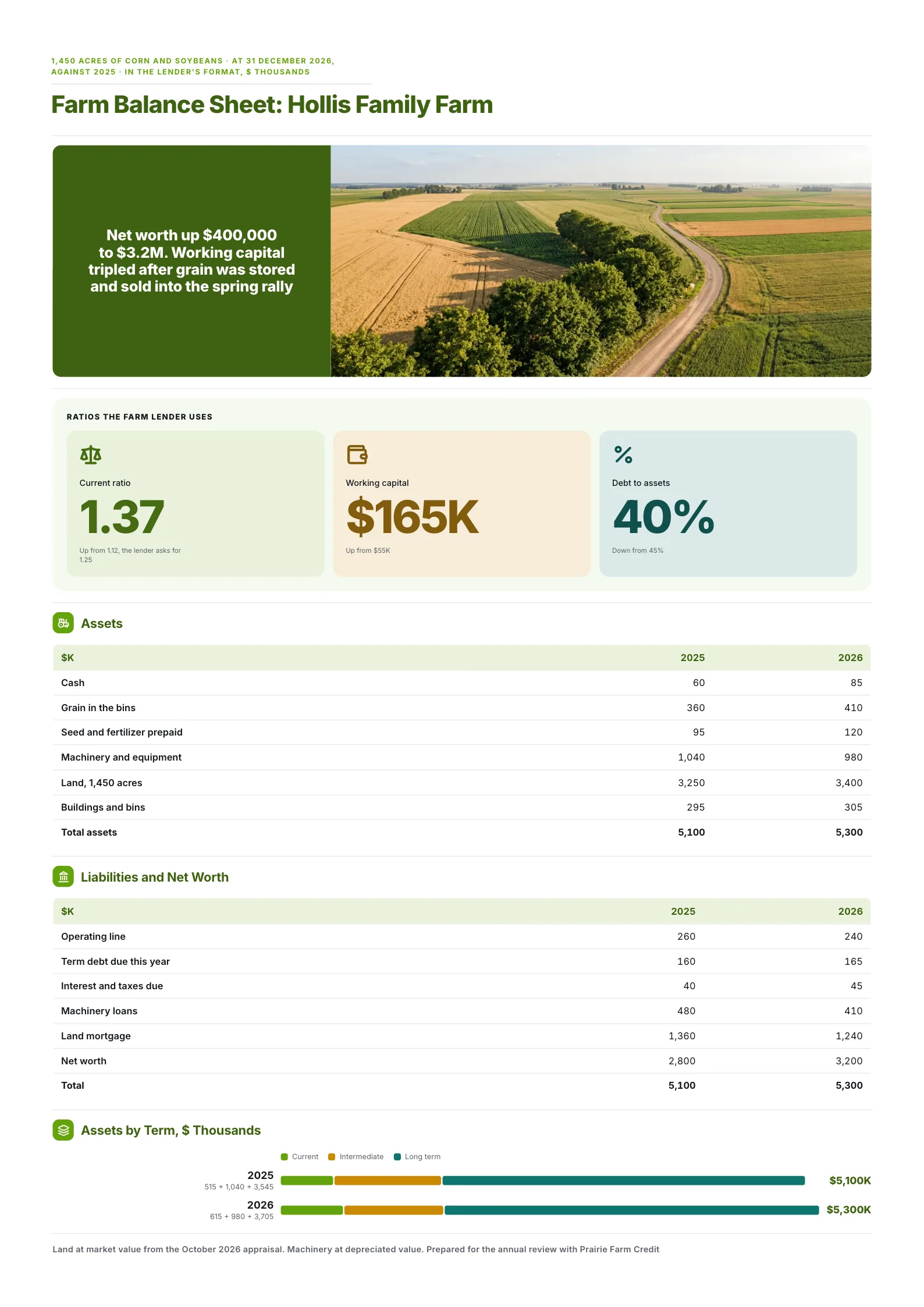 Farm balance sheet One-Pager with grain, machinery and land assets against farm debts and net worth by year