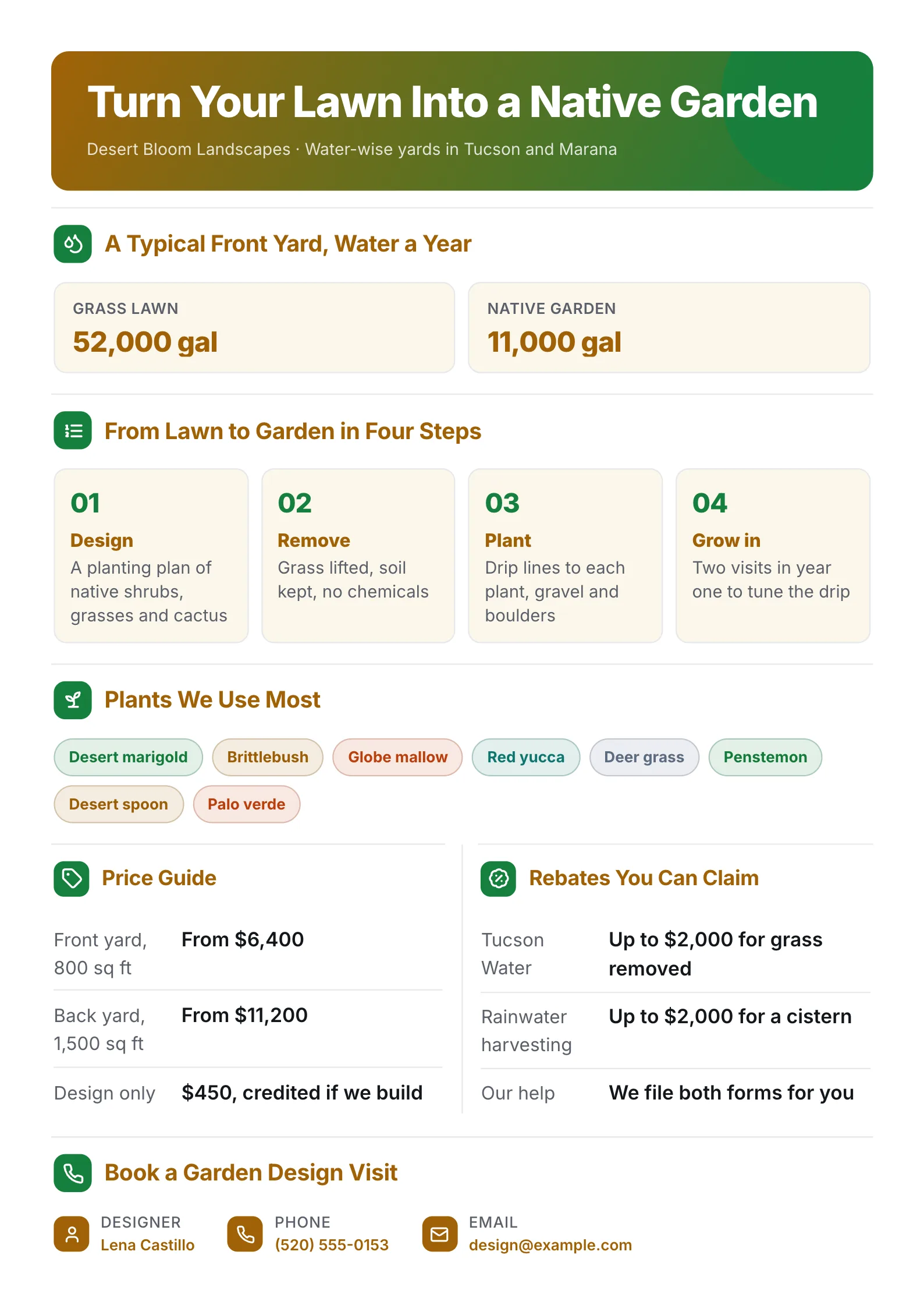 Landscaping flyer for a native garden conversion comparing water a year, four steps and a plant list