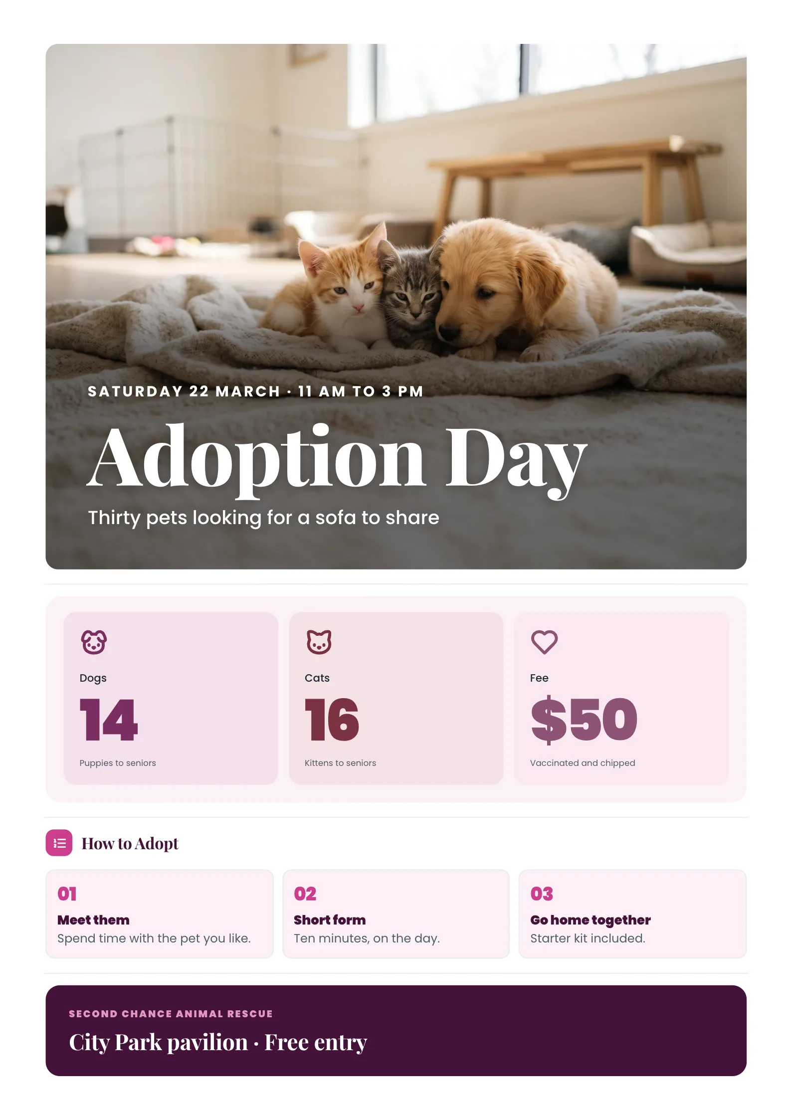Pet Adoption Flyer with two kittens and a puppy sitting together on a soft blanket in a bright room