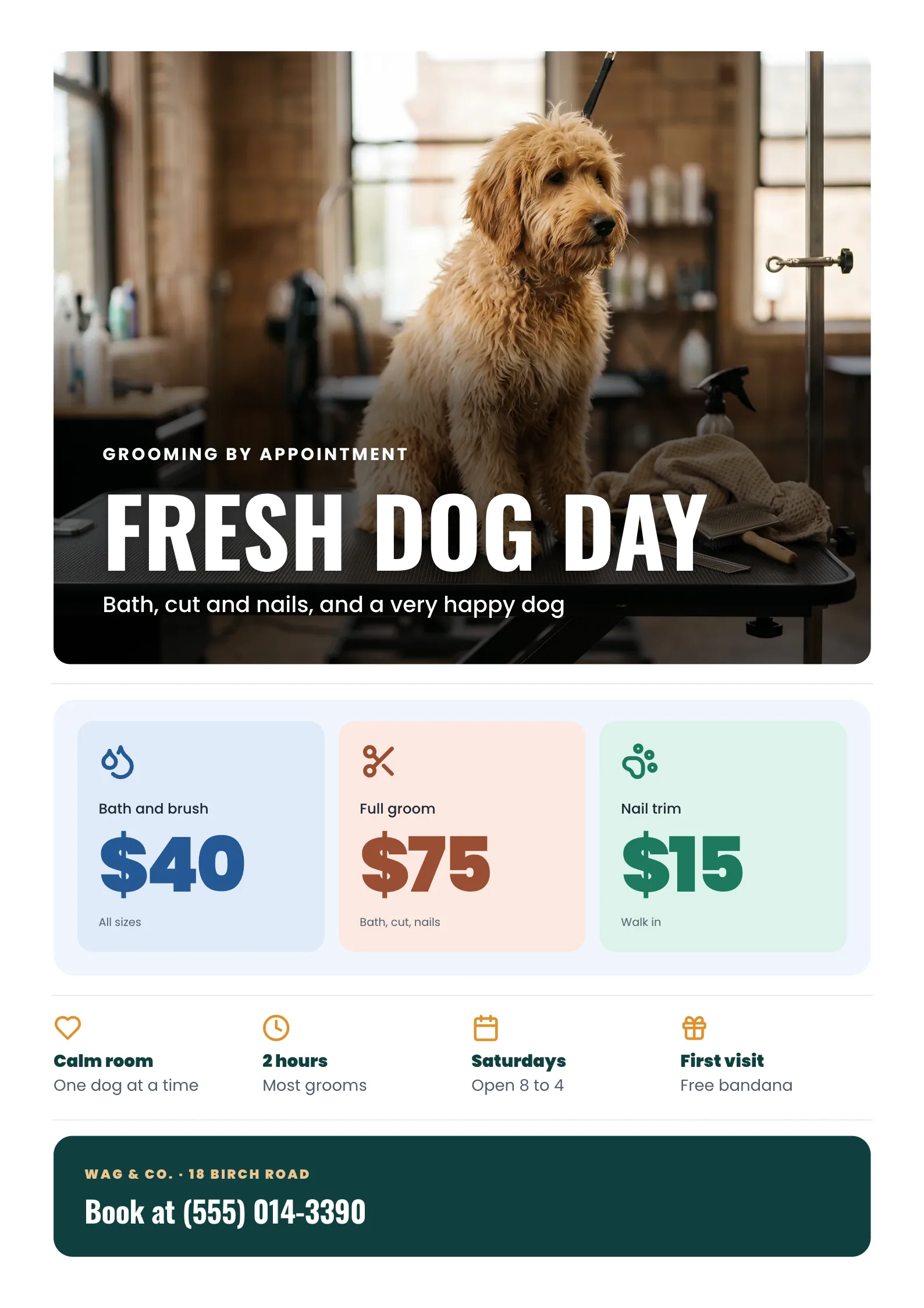 Pet Grooming Flyer with a fluffy golden doodle sitting on a grooming table after a bath with brushes and a towel