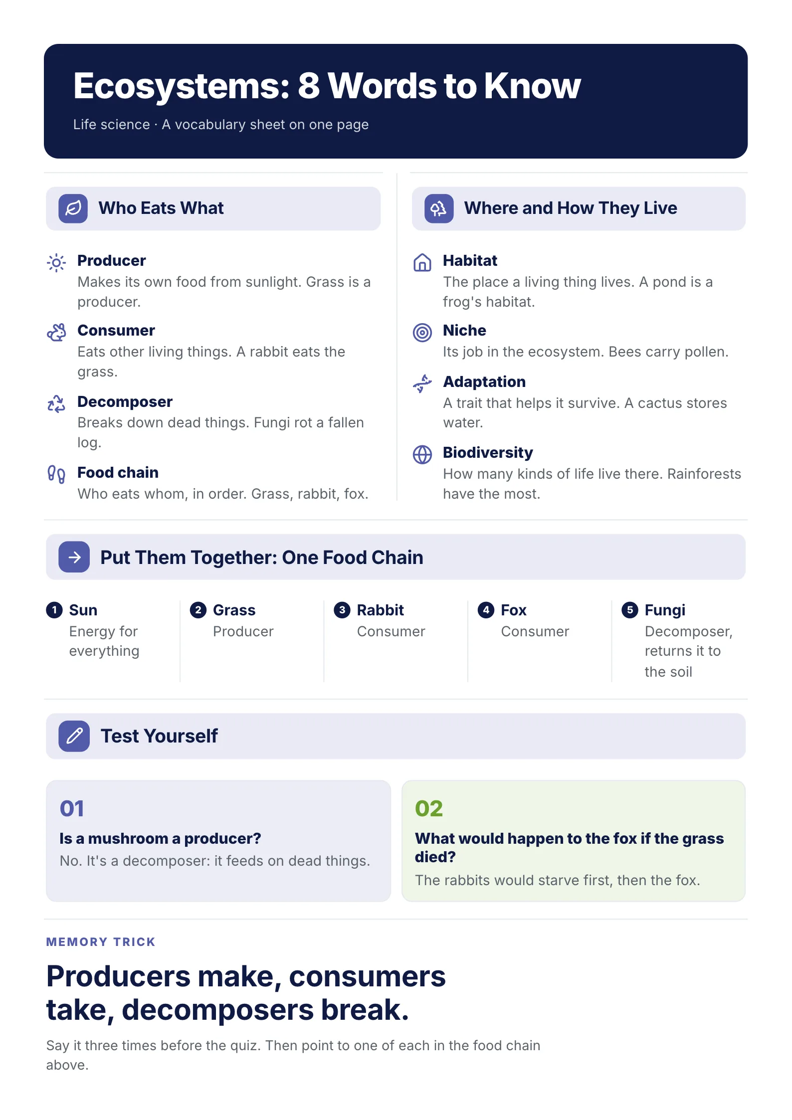 Vocabulary sheet One-Pager template with 8 ecosystem words and their meanings, one food chain and a two-question test