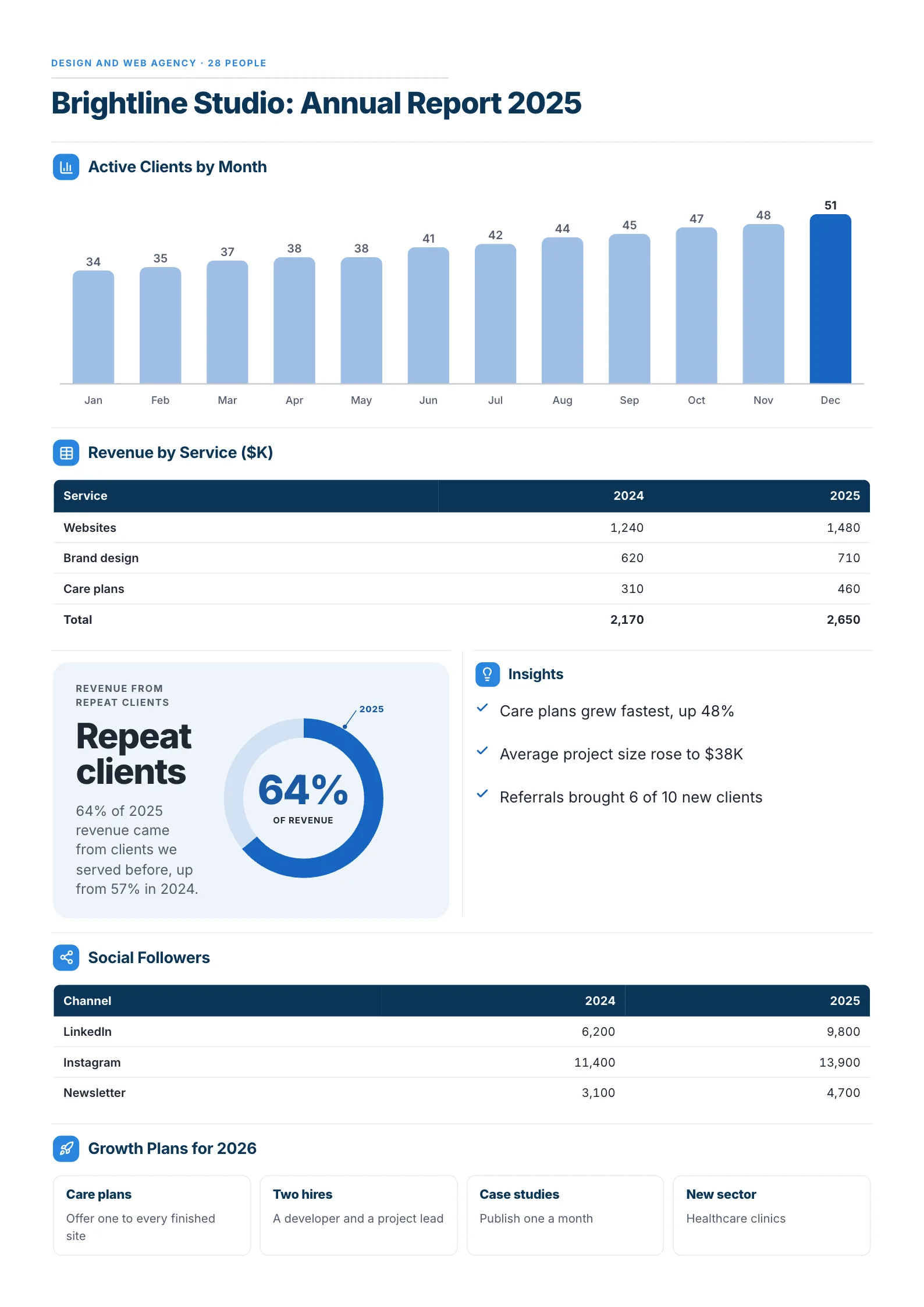 Annual Report Summary One-Pager example