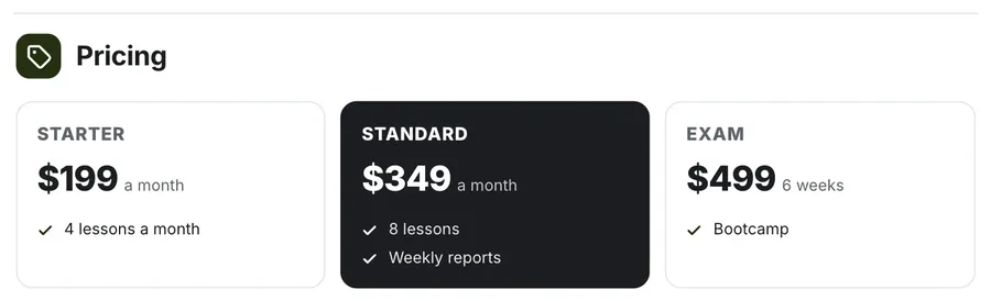Pricing, "Pricing": a close-up of the Business Plan Summary One-Pager Template
