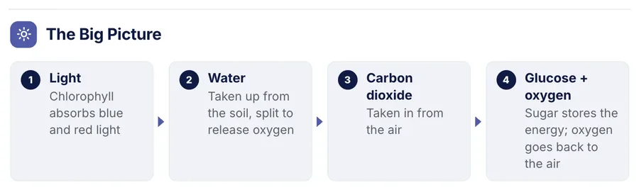 Process flow, "The Big Picture": a close-up of the Science Concept One-Pager Template