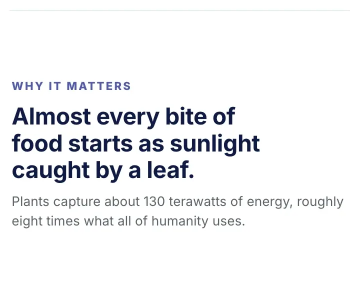 Spotlight, "My Insight": a close-up of the Science Concept One-Pager Template