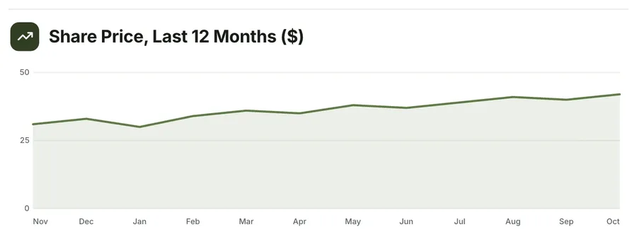 Area chart of a trend, "Share Price, Last 12 Months ($)": a close-up of the Stock Pitch One-Pager Template