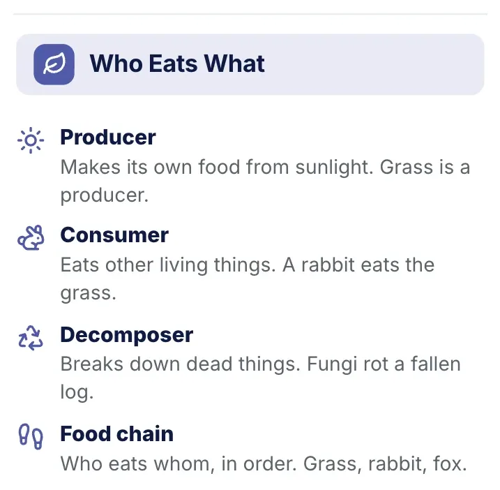 Points with icons, "Who Eats What": a close-up of the Vocabulary Sheet One-Pager Template